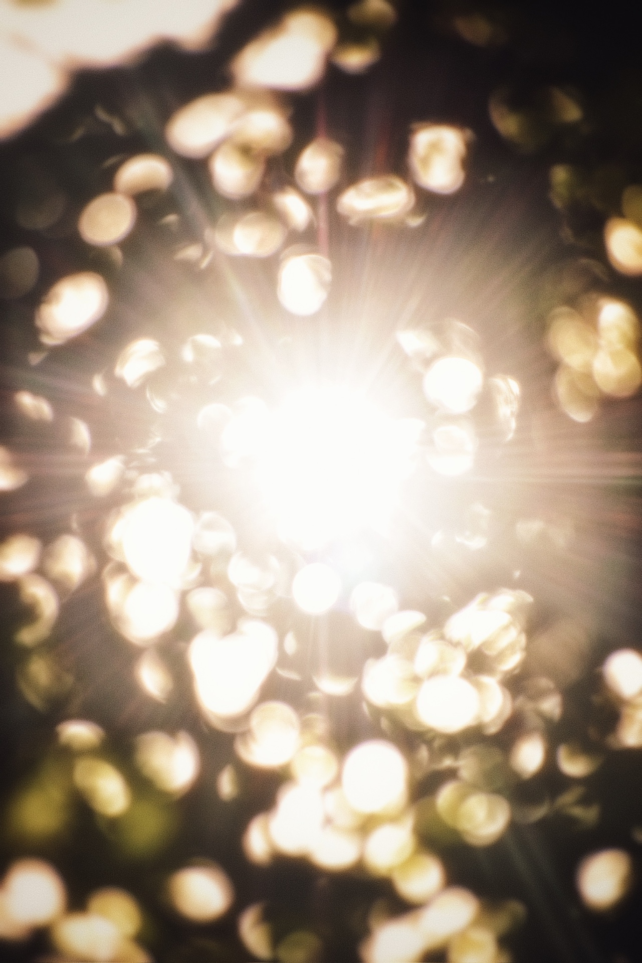 Lux Crepitus